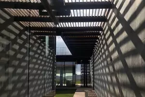  &copy;&nbsp;Фото пресс-службы &laquo;Виноградников Гай Кодзора&raquo;