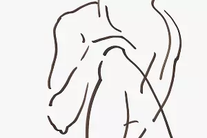  &copy;&nbsp;Фото предоставлено пресс-службой музея имени Ф.А. Коваленко