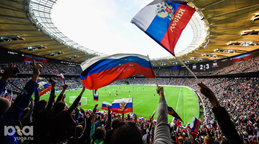  © Фото Елены Синеок, Юга.ру