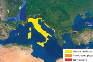  &copy;&nbsp;Фото пресс-службы РГО