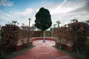 Парк «Краснодар» &copy;&nbsp;Фото Елены Синеок, Юга.ру