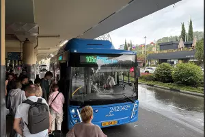  &copy;&nbsp;Скриншот из телеграм-канала мэрии Сочи https://t.me/officialsochi/53385