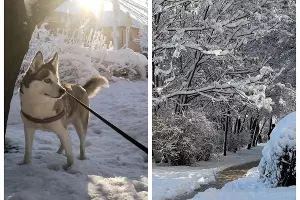  &copy;&nbsp;Скриншот из телеграм-канала &laquo;Это Ростов новости&raquo; https://t.me/etorostov/80147
