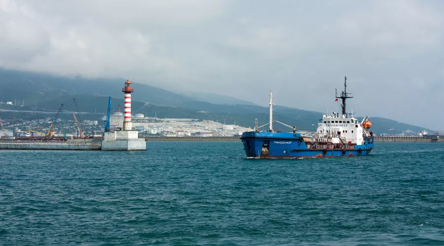  &copy;&nbsp;Фото Даниила Замешаева, unsplash.com