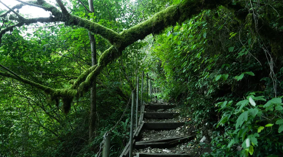  &copy;&nbsp;Фото AmixStudio, freepik.com