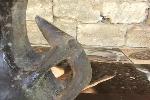  &copy;&nbsp;Фото фонда &laquo;Археология&raquo;, facebook.com/groups/1738893839727198