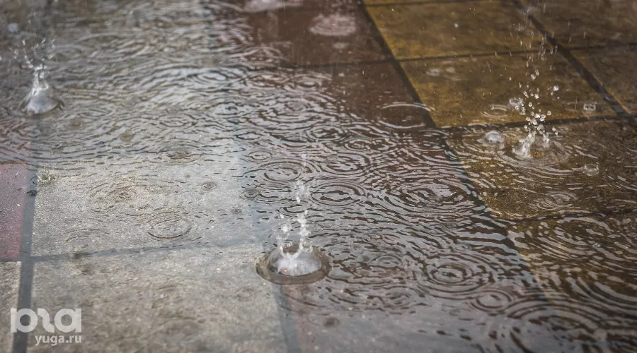  &copy;&nbsp;Фото Елены Синеок, Юга.ру