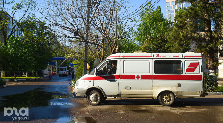  © Фото Елены Синеок, Юга.ру