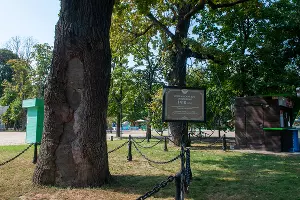  &copy;&nbsp;Фото Дмитрия Пославского, Юга.ру