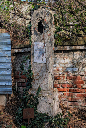 Надгробие с эпитафией «В лесу родилась елочка». Фото Дениса Куренова, Юга.ру