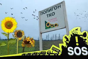  &copy;&nbsp;Коллаж Дмитрия Пославского, Юга.ру