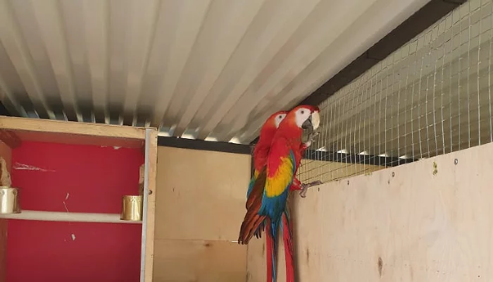  &copy;&nbsp;Фото для Юга.ру