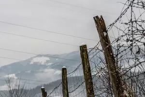 Граница &copy;&nbsp;Фото wirestock, freepik.com