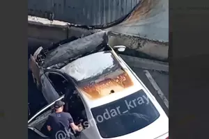  &copy;&nbsp;Скриншот из телеграм-канала &laquo;Краснодарский край&raquo; https://t.me/krasnodarkray1/24260