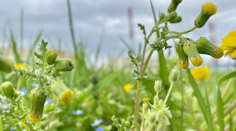  © Фото Антона Быкова