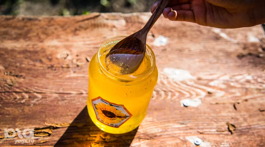  &copy;&nbsp;Фото Елены Синеок, Юга.ру