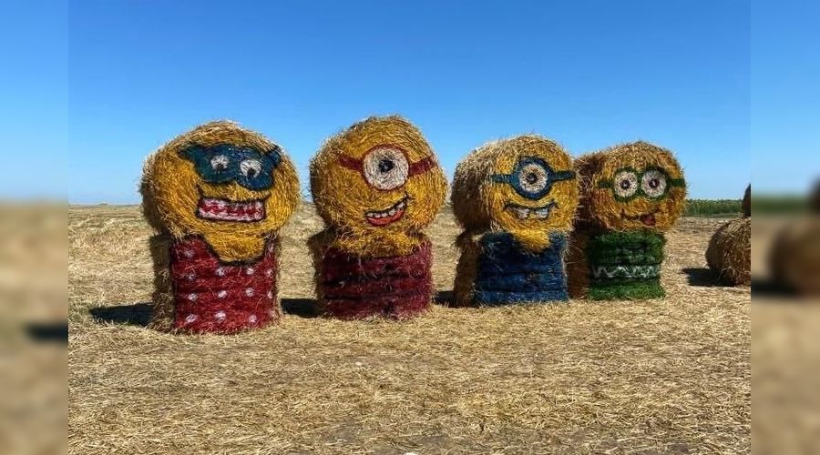  © Изображение из телеграм-канала t.me/temruk_info