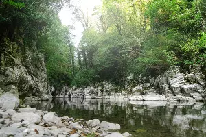 &copy;&nbsp;Фото AmixStudio, freepik.com