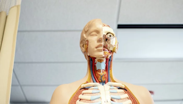  &copy;&nbsp;Фото Nhia Moua, unsplash.com