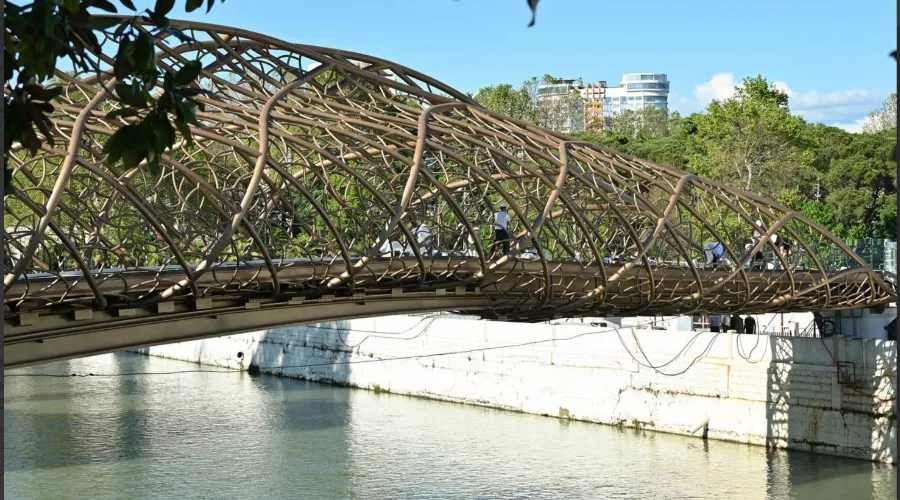  &copy;&nbsp;Скриншот из телеграм-канала мэрии Сочи https://t.me/officialsochi/52048