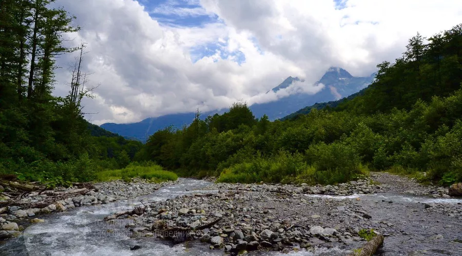  &copy;&nbsp;Фото пресс-службы Кавказского заповедника