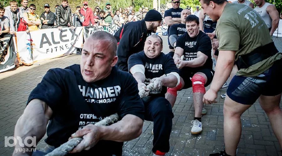  &copy;&nbsp;Николай Ильин, ЮГА.ру