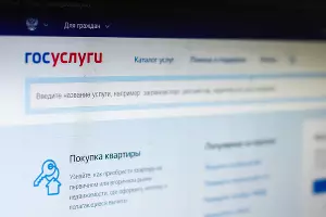  &copy;&nbsp;Фото Елены Синеок, Юга.ру