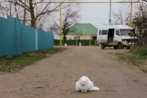  &copy;&nbsp;фото Дениса Яковлева, Юга.ру