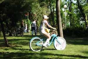  &copy;&nbsp;Фото Елены Синеок, Юга.ру