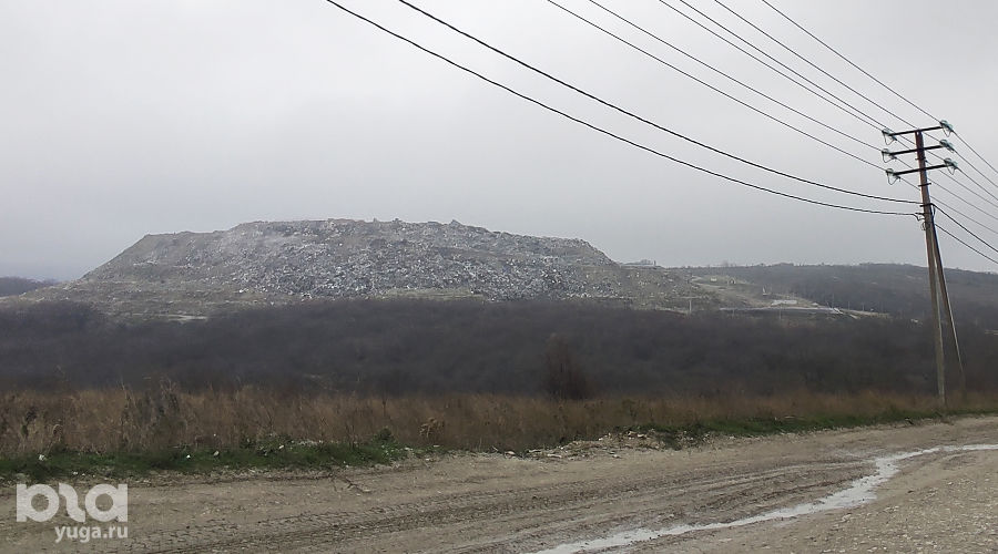  © Фото Иолины Грибковой, Юга.ру