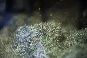 Утилизация банкнот &copy;&nbsp;Фото Елены Синеок, Юга.ру