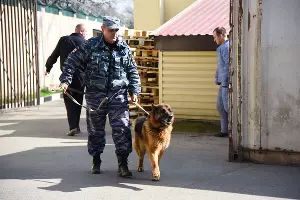  &copy;&nbsp;Фото Елены Синеок, Юга.ру