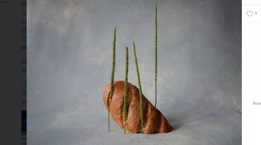  &copy;&nbsp;Скриншот фото из группы Краснодарского выставочного зала во ВКонтакте