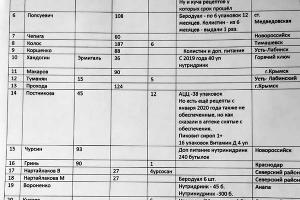 Таблица по необеспеченности детей с муковисцидозом лекарствами © Фото Екатерины Синебрюковой