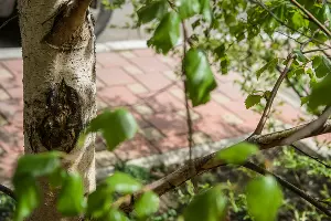  &copy;&nbsp;Фото Евгения Мельченко, Юга.ру