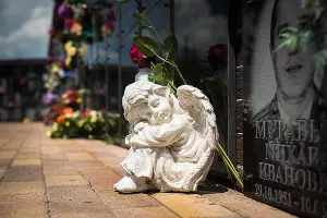  &copy;&nbsp;Фото Елены Синеок, Юга.ру