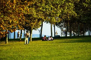  &copy;&nbsp;Фото Павла Незнанова, unsplash.com