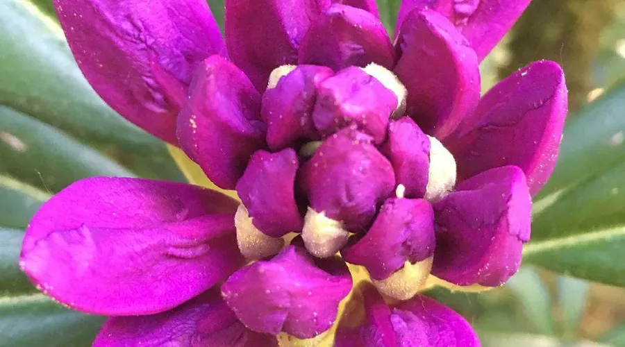  &copy;&nbsp;Фото пресс-службы Кавказского биосферного заповедника