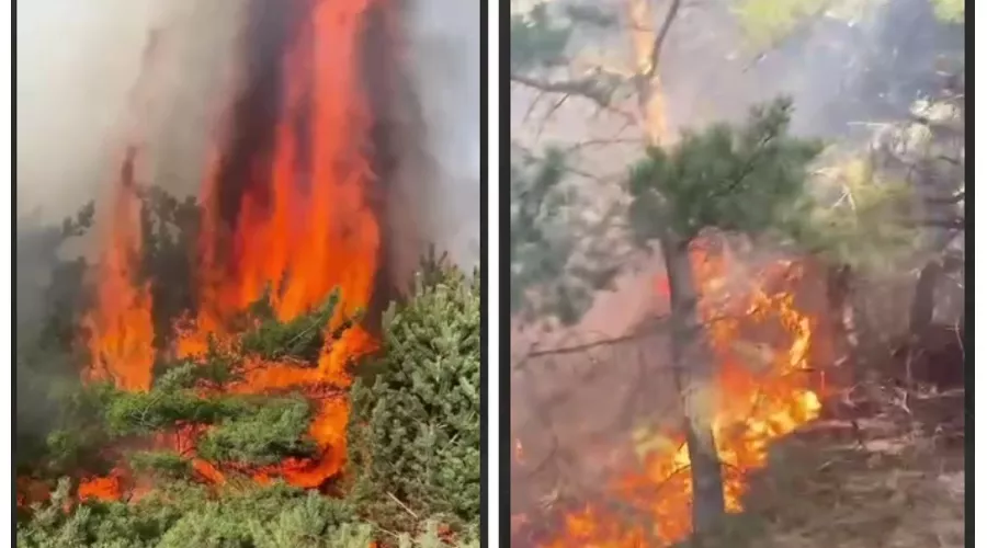  &copy;&nbsp;Скриншот из телеграм-канала &laquo;Тут Дагестан&raquo; https://t.me/tutdagestan_05/15631