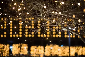 Парк «Краснодар» &copy;&nbsp;Фото Елены Синеок, Юга.ру