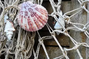  &copy;&nbsp;фото с сайта pixabay.com