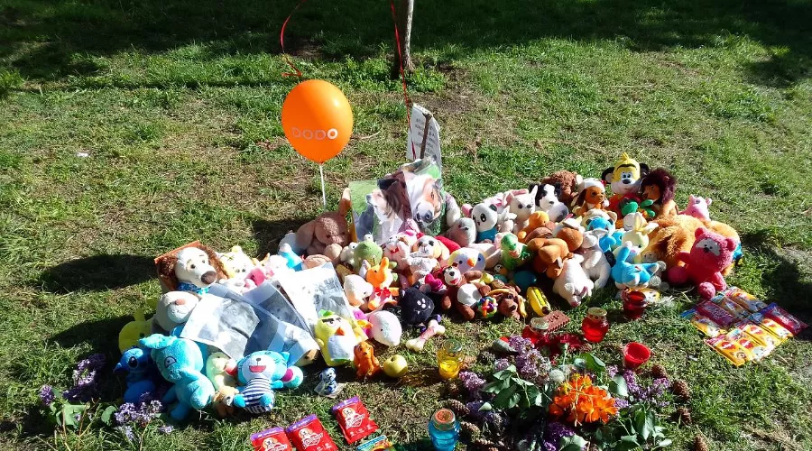  &copy;&nbsp;Фото активистки Яны Антоновой, предоставлено Юга.ру