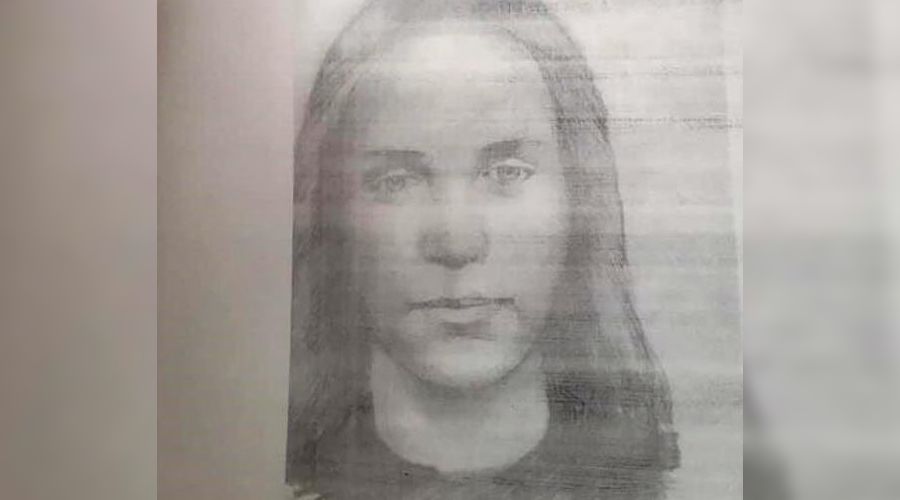 Разыскиваемая женщина © Фото со страницы Сергея Ласунова в инстаграме, instagram.com/sergejlasunov