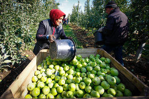  © Фото Влада Александрова, Юга.ру
