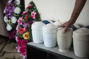  &copy;&nbsp;Фото Елены Синеок, Юга.ру