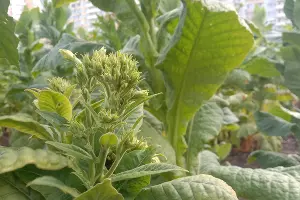  &copy;&nbsp;Фото Яры Гуляевой, Юга.ру