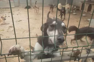  &copy;&nbsp;Фото Иолины Грибковой, Юга.ру