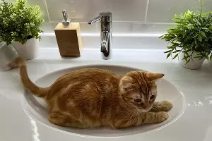  &copy;&nbsp;Фото Александры Булавкиной, Юга.ру