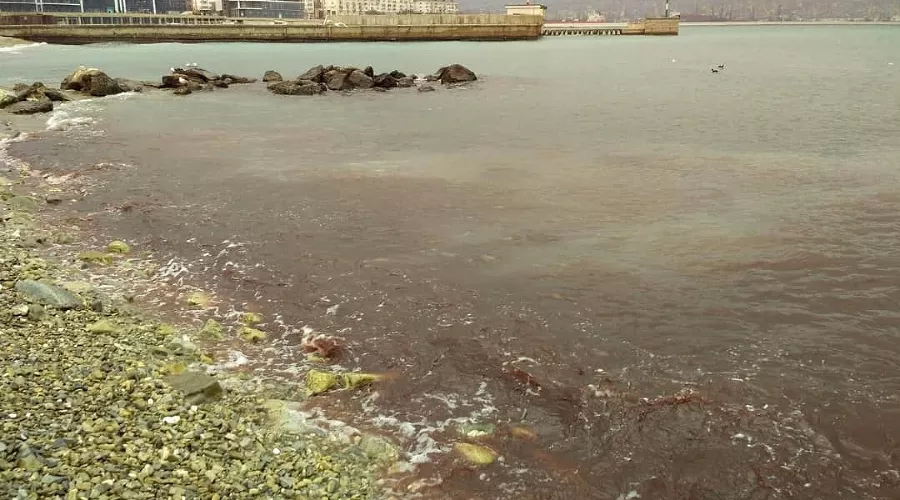  &copy;&nbsp;Фото группы &laquo;Супер новости Новороссийска&raquo;, vk.com/news_of_novorossiysk