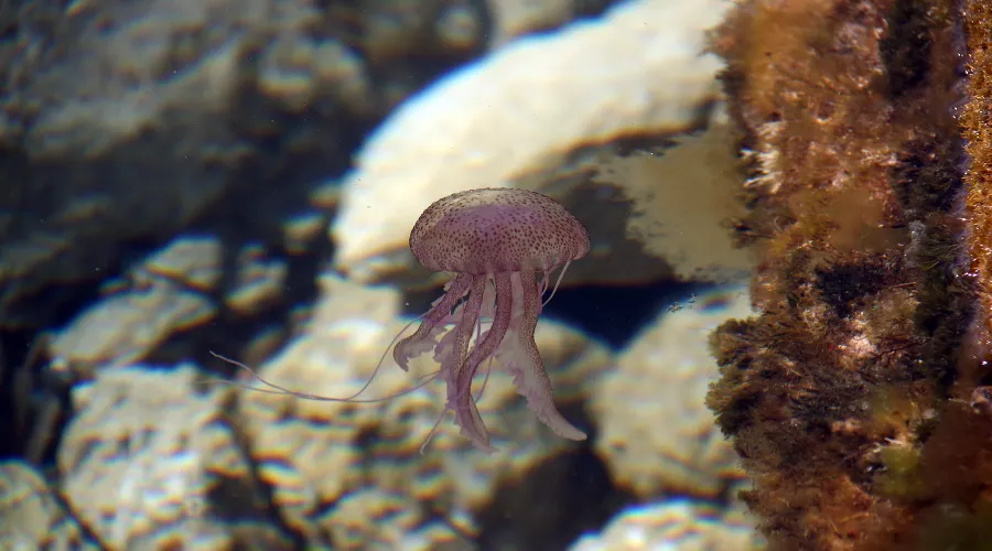  &copy;&nbsp;Фото пользователя  wirestock с сайта freepik.com